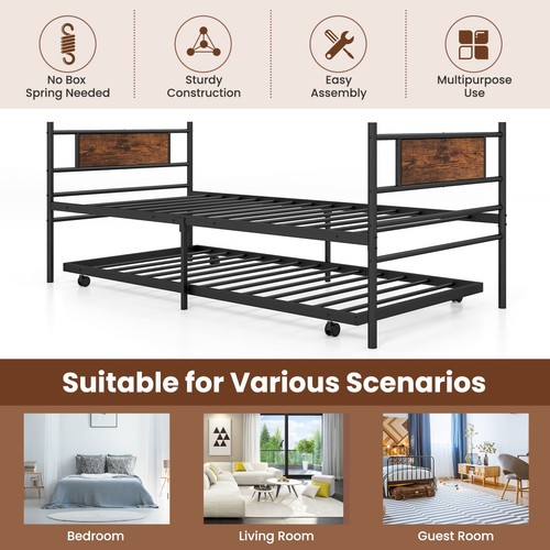 Single sofa guest bed - guest,